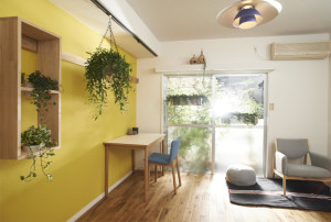 1アクセントクロスー