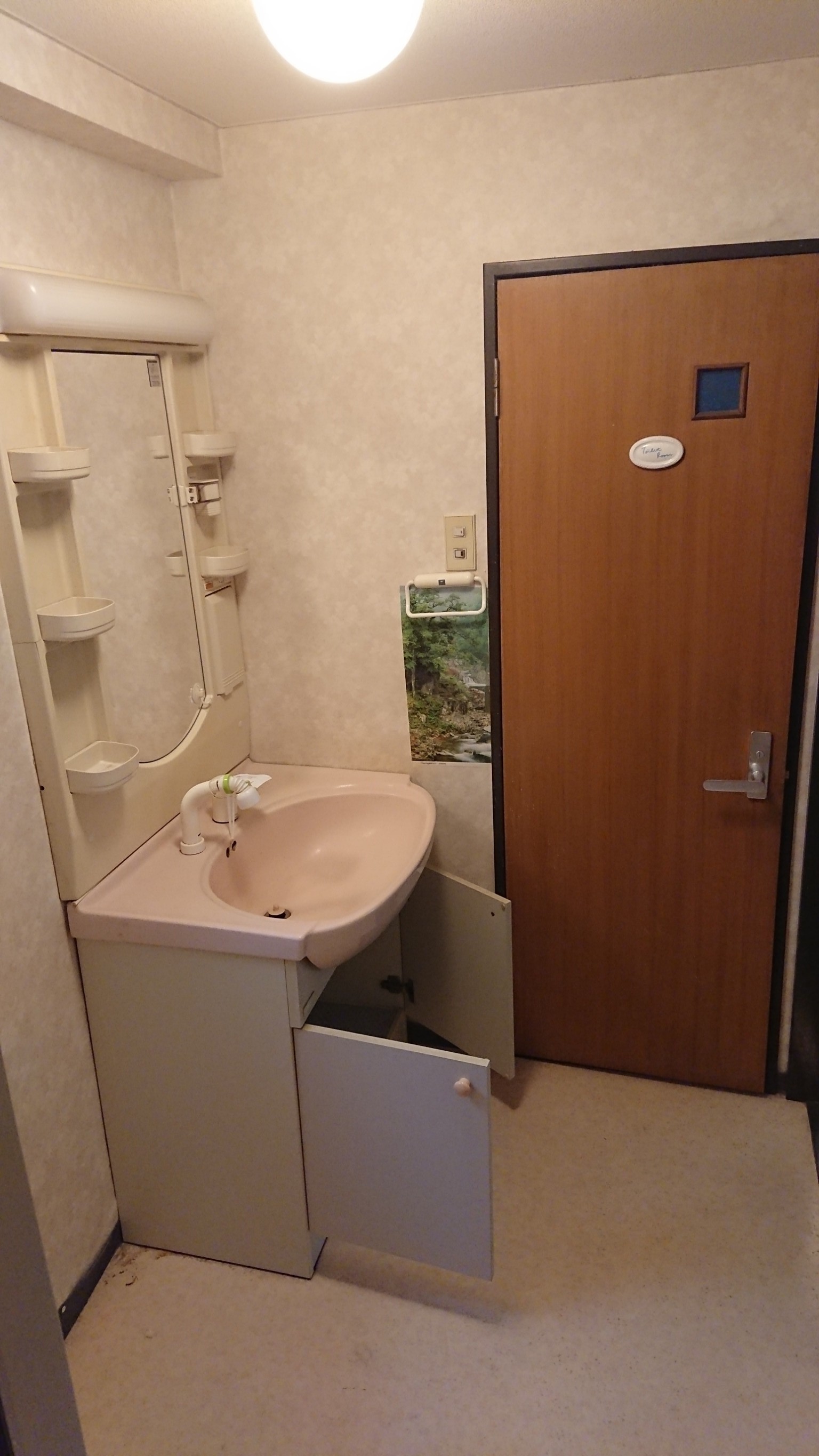 もろもろ_190107_0013