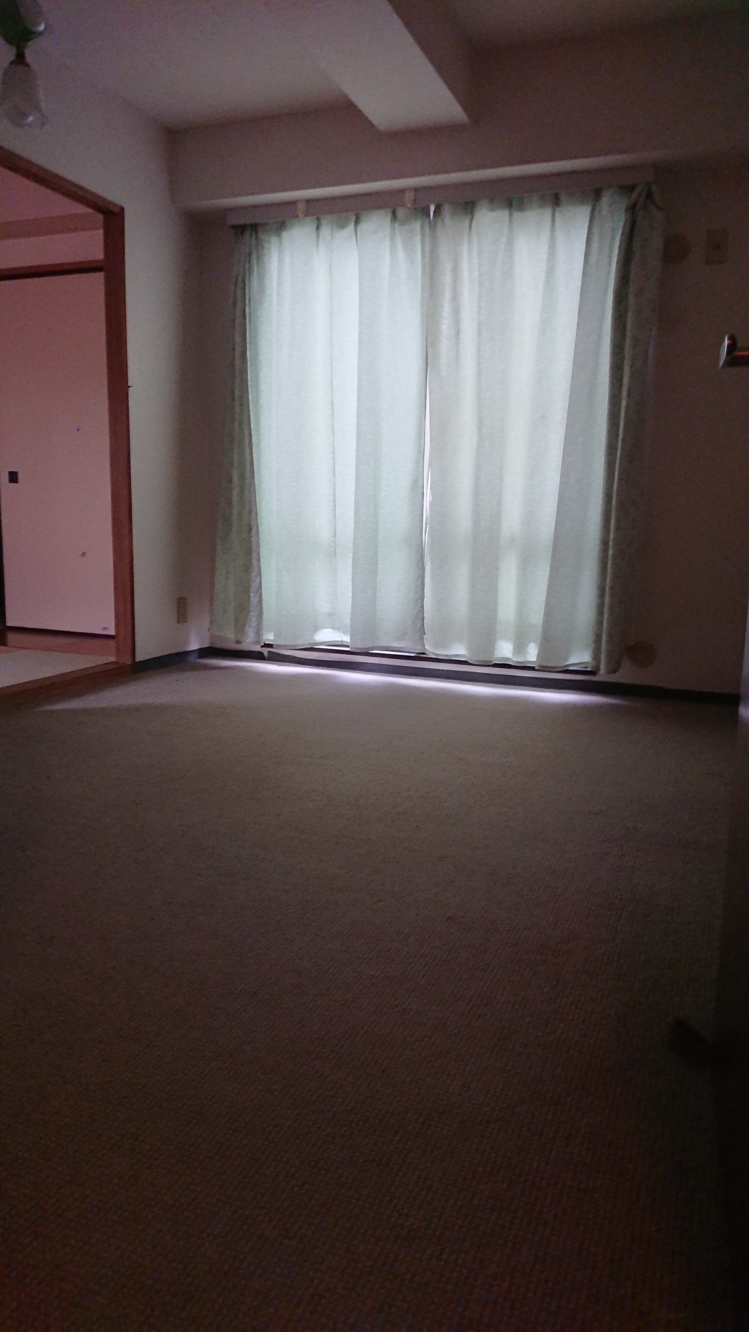 もろもろ_190107_0020