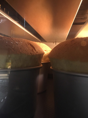 シフォン工房_190319_0088