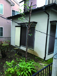 名称未設定 1のコピー